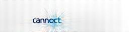 Emirates Connect Solutions Logo